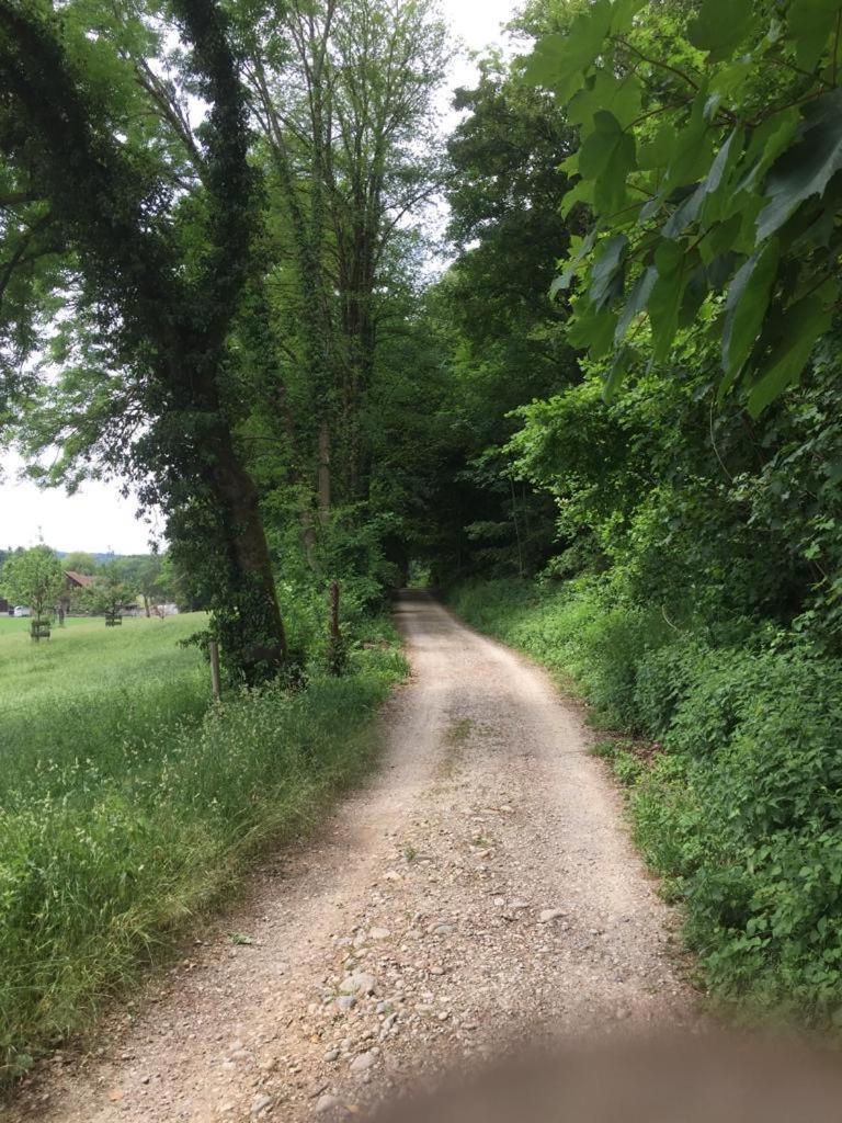 Wohnresidenz Casa Fortuna Suhr Kültér fotó